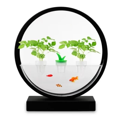 Fitolampa augiem un stādiem dažādām augšanas fāzēm