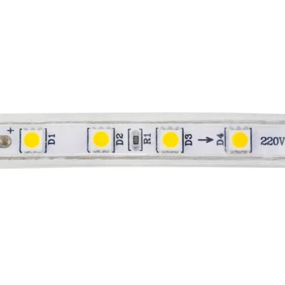 Augstsprieguma 220V LED lente IP65, auksti balts, 6W, VOLGA
