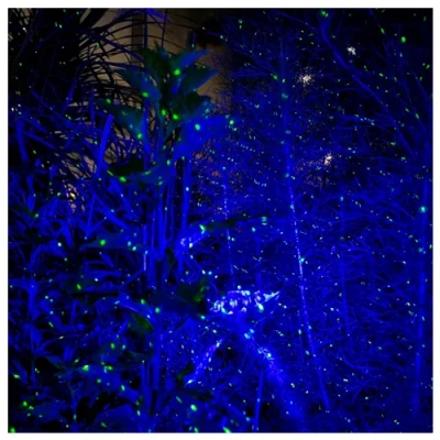 Ūdensizturīgs lāzerprojektors ar skaļruņi un pulti dārzam - jāņtārpiņu un ziemeļblāzmas projekcija