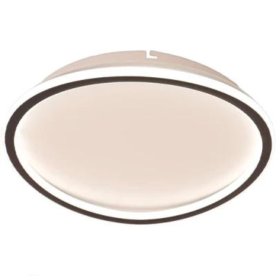 Ceiling lamp with remote control Design Oyster Chase