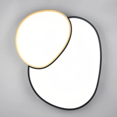 Griestu gaismeklis ar pulti RISE, 45W, 5300lm, 2700-6500K