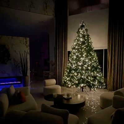 LED Ziemassvētku diožu virtene 100m uz vara stieples RASA ar pulti, 1000LED, silti balta, IP44