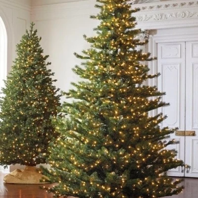 LED Ziemassvētku diožu virtene 200m uz vara stieples RASA ar pulti, 2000LED, silti balta, IP44