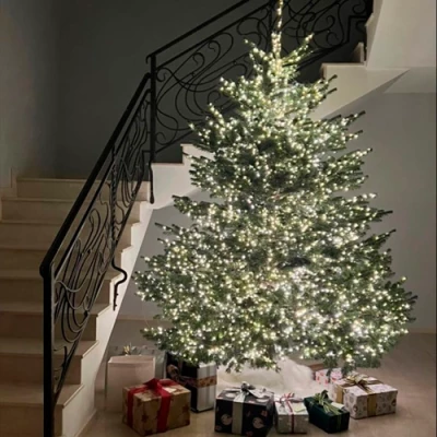 LED Ziemassvētku diožu virtene 200m uz vara stieples RASA ar pulti, 2000LED, balta, IP44