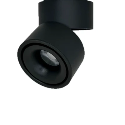 LED Virsapmetuma gaismeklis BAMBERG, 12W, 3000K, 1080Lm, IP20