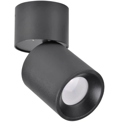Surface mounted light NIXA, excl. GU10, max 10W, IP20
