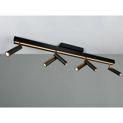 LED Griestu lampa ar pulti ZENO, 6x5.5W, 1x18W, 2700-6500K, 6x650Lm, 1x2200Lm