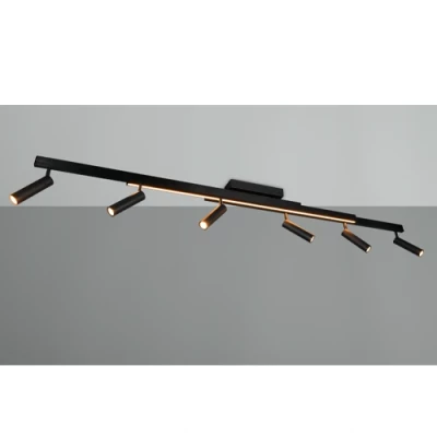 LED Griestu lampa ar pulti ZENO, 6x5.5W, 1x18W, 2700-6500K, 6x650Lm, 1x2200Lm