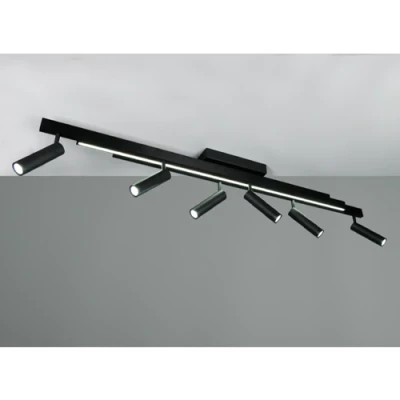 LED Griestu lampa ar pulti ZENO, 6x5.5W, 1x18W, 2700-6500K, 6x650Lm, 1x2200Lm