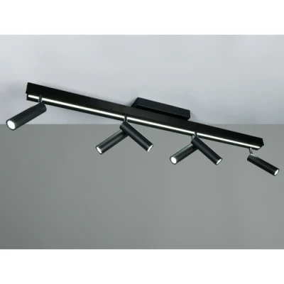 LED Griestu lampa ar pulti ZENO, 6x5.5W, 1x18W, 2700-6500K, 6x650Lm, 1x2200Lm