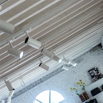 LED Рельсовый светильник IDAR, 3F, excl. GU10, max 35W, IP20